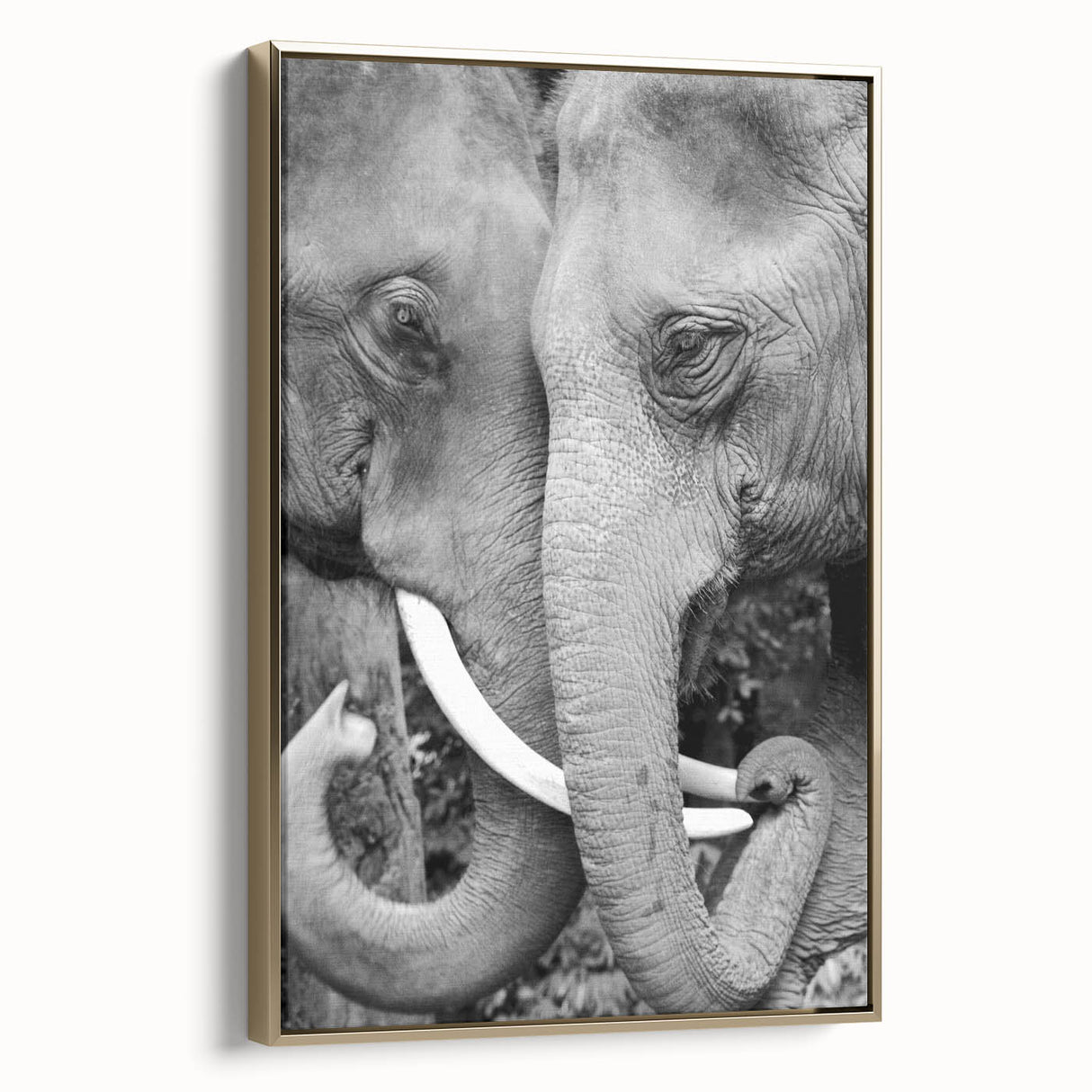 Framed canvas featuring a close-up of a bird in gold, ideal for bedroom wall art with a vintage poster art style.