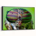 Black and white wall art featuring a close-up of a bird on a framed canvas, suitable for bedroom decor.
