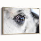Framed canvas of a vintage-style bird illustration in black and gold, ideal for bedroom wall art.