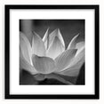 Extra large abstract art print featuring vibrant, colorful florals on a textured canvas, framed in black.