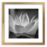 Extra large abstract art print featuring textured florals in vibrant colors on a gold-framed canvas.