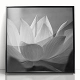 Large abstract wall art depicting vibrant floral designs in a mid-century modernist style, framed in black acrylic.