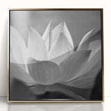 Close-up floral design on large art print, framed in gold acrylic, in mid-century modernist style.