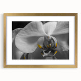 Extra large abstract art print featuring textured florals in pastel shades, framed in gold, ideal for living room decor.