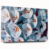 Large abstract wall art of close-up floral designs in vibrant colors on acrylic glass.