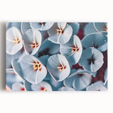 Black and white close-up floral photograph on stretched canvas, suitable for kitchen wall art.