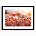 Extra large abstract art print featuring textured, colorful floral designs on a black framed canvas.