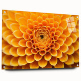 Close-up of a floral design in vibrant colors on acrylic glass, suitable for bedroom or dining room decor.