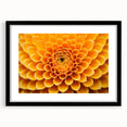 Abstract art print featuring vibrant, colorful floral designs on a textured, extra-large canvas, ideal for living room decor.