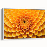 Extra large framed canvas featuring vintage poster art of colorful florals on a black background.