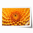 Extra large rolled print featuring a close-up of vibrant floral designs.