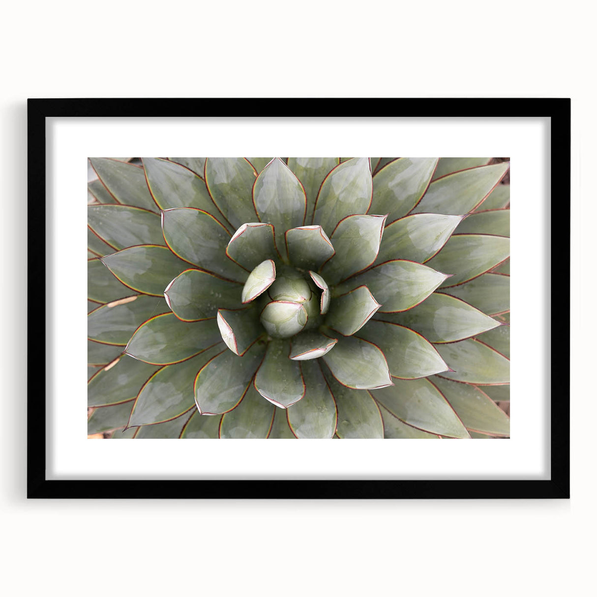 Extra large abstract art print featuring vibrant, textured florals on a black framed canvas, ideal for living room decor.