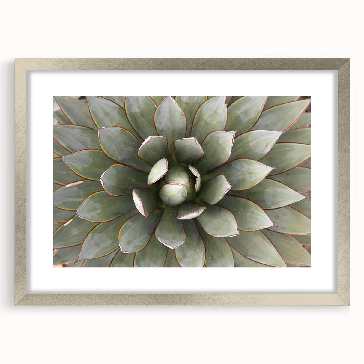 Textured art featuring abstract floral designs in soft pastel colors on a silver-framed mat, ideal for bedroom wall decor.