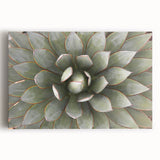 Black and white close-up floral image on stretched canvas, ideal for kitchen wall art.