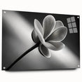 Close-up floral design in vibrant colors on acrylic glass, suitable for bedroom or dining room decor.