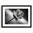 Extra large, textured abstract art print featuring vibrant, colorful floral designs on a black framed canvas.