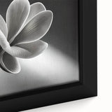 Extra large framed canvas featuring a close-up of colorful, textured florals on a black background.