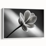 Extra large framed canvas featuring vintage poster art of vibrant, colorful florals, ideal for living room decor.