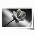Extra large rolled print of close-up floral design in soft pastel shades, suitable for dining room or bathroom wall art.