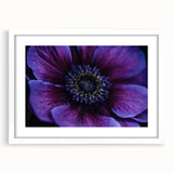 Abstract art print of vibrant floral patterns in a white frame, ideal for dining room or bedroom decor.