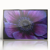 Mid-century modernist art depicting vibrant floral close-ups in a silver-framed acrylic, ideal for nursery wall art.