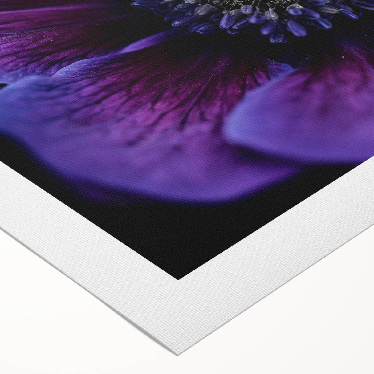 Art deco poster featuring a close-up floral design in pastel shades on a rolled canvas.