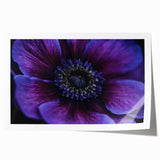 Close-up floral art on rolled print featuring a variety of vibrant, multicolored flowers, ideal for art wall dining room.