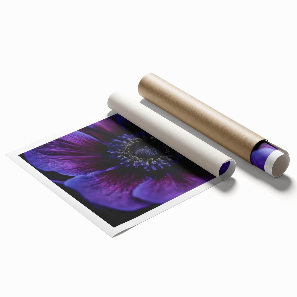 Extra large rolled print of a close-up floral design in vibrant colors, ideal for classy bathroom wall art.