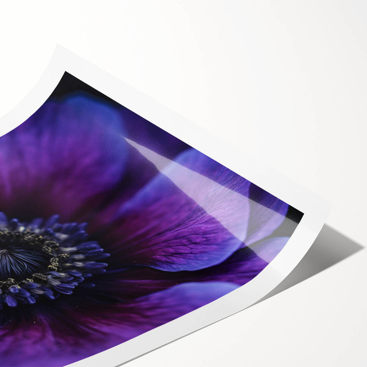 Extra large wall art featuring line art flowers in black and white on a rolled print, ideal for large living room decor.