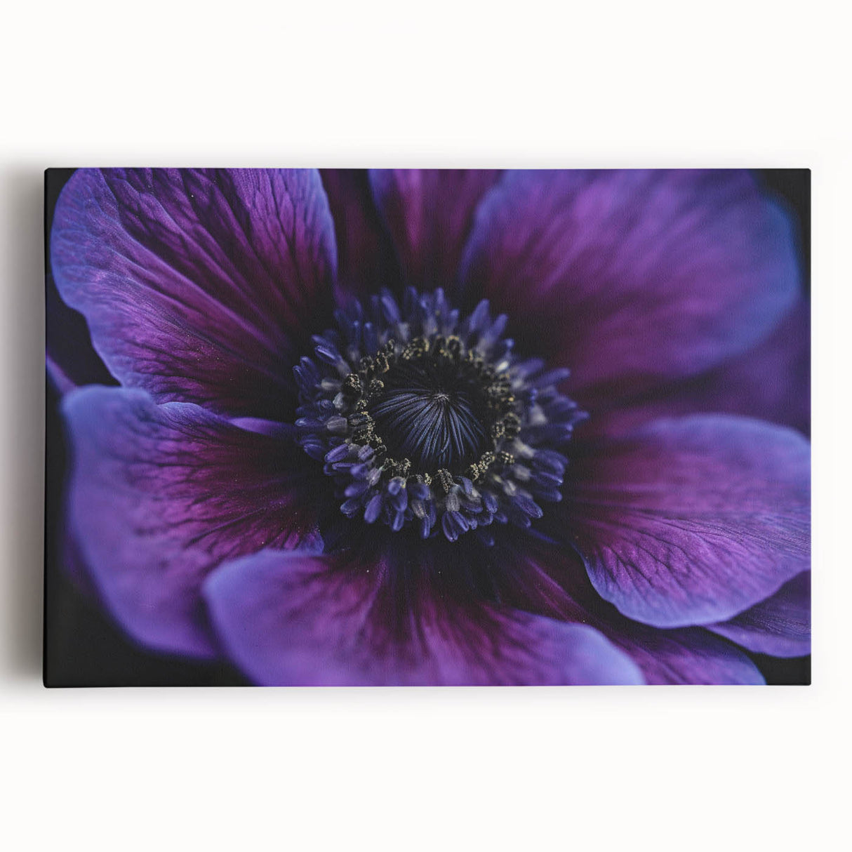 Black and white close-up floral photo on stretched canvas, ideal for kitchen wall art.
