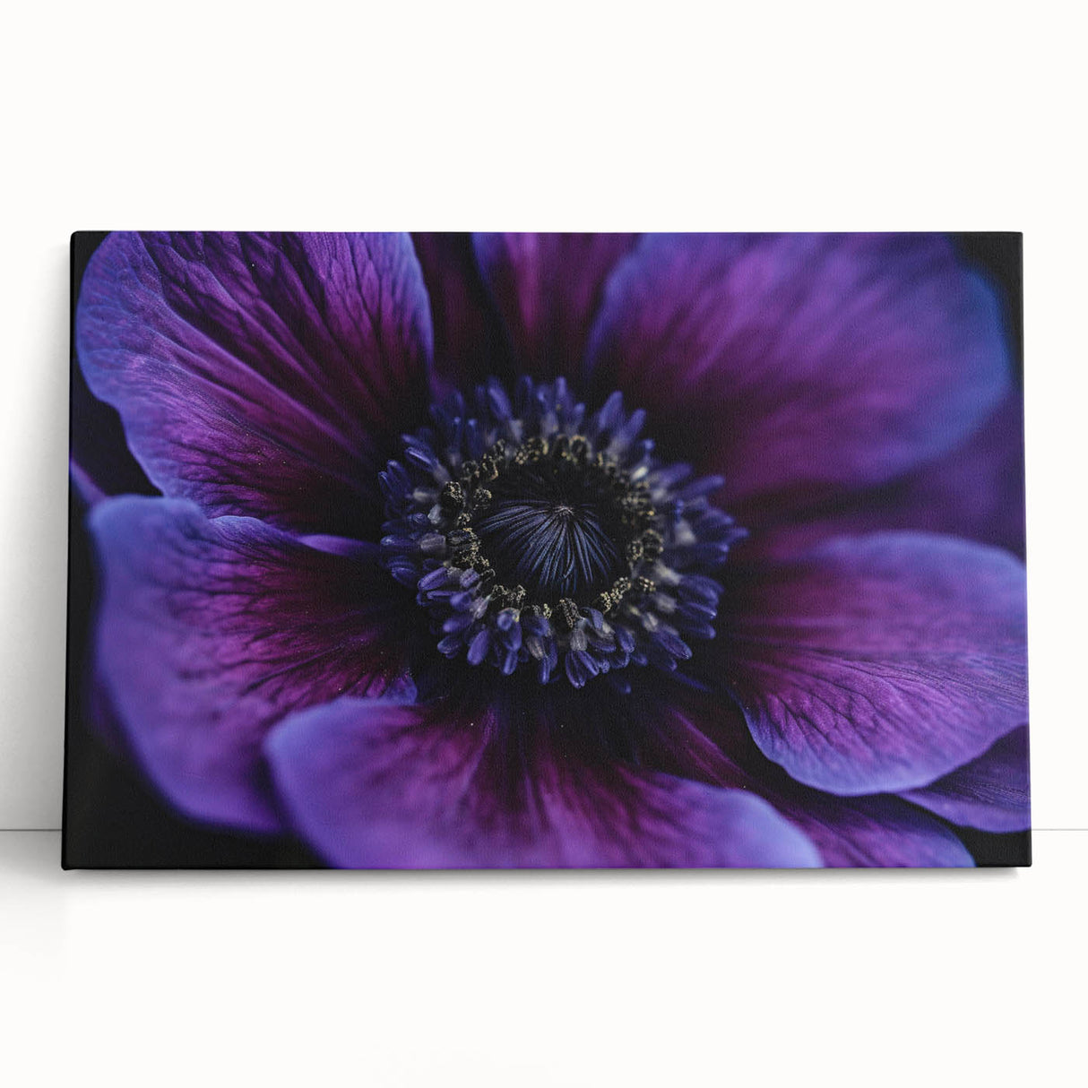 Black and white close-up floral image on stretched canvas, ideal for kitchen wall art or bedroom ambiance.