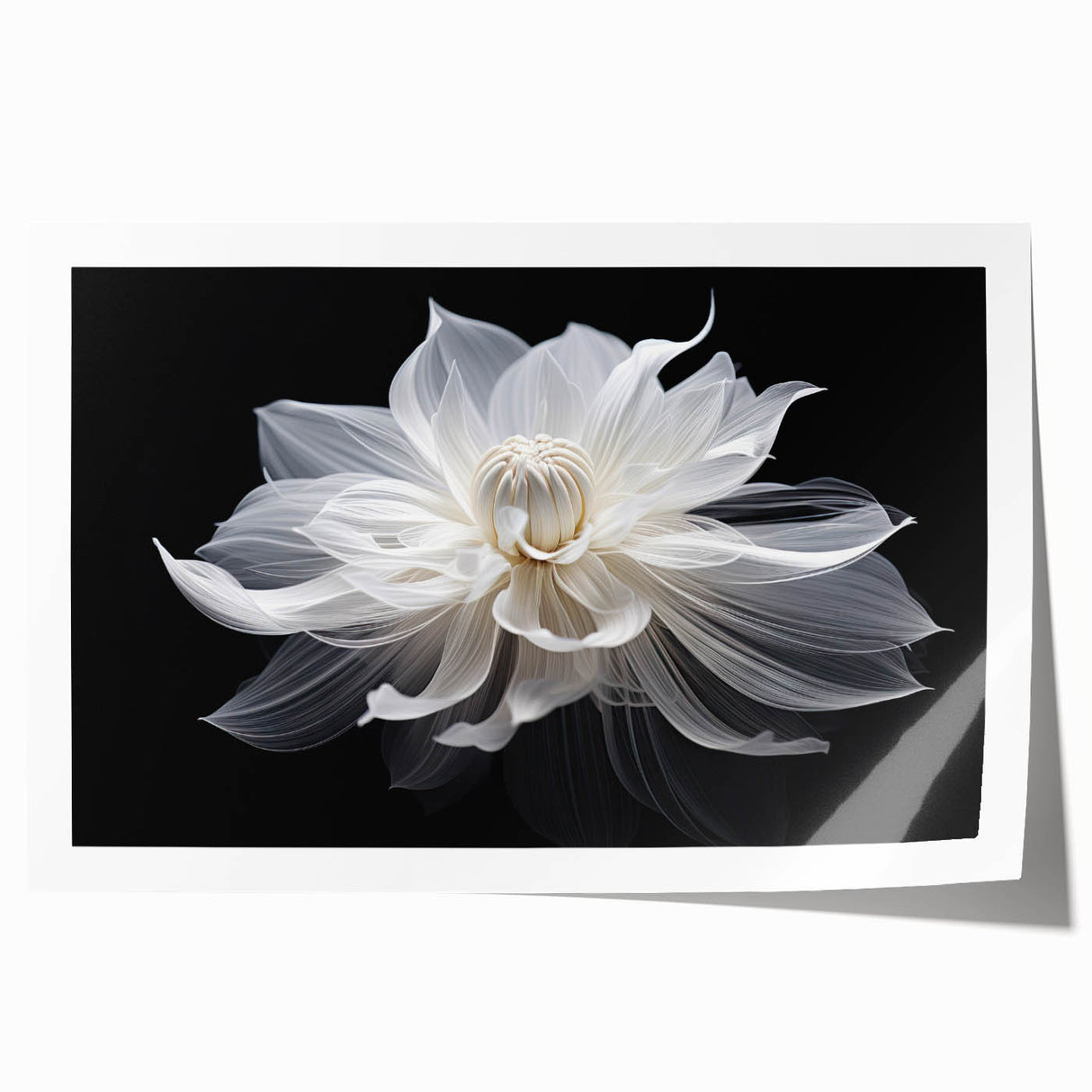 Extra large rolled print of a floral art with vibrant colors and detailed close-ups, ideal for dining room wall decor.