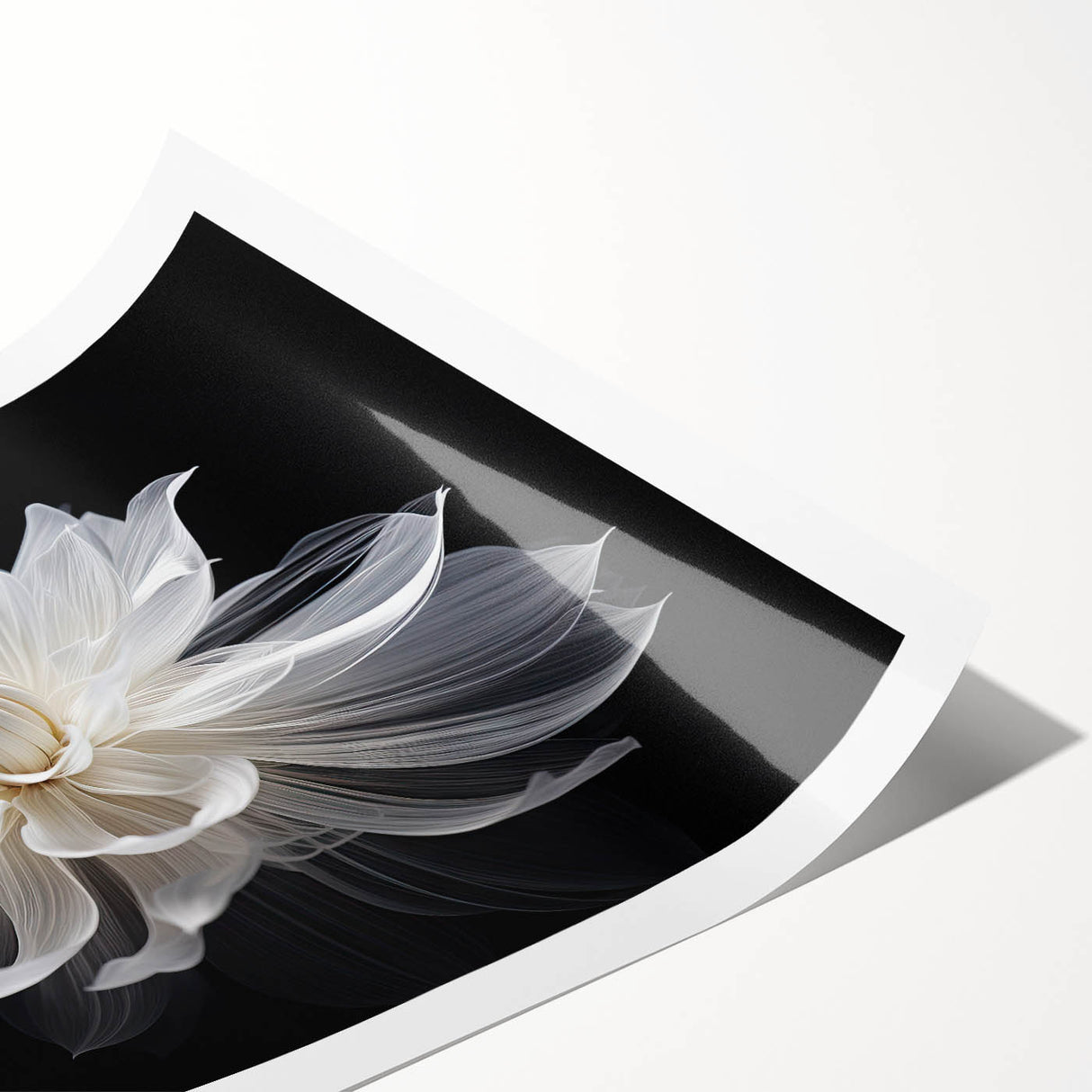 Extra large wall art featuring line art flowers in black on white background, rolled print.