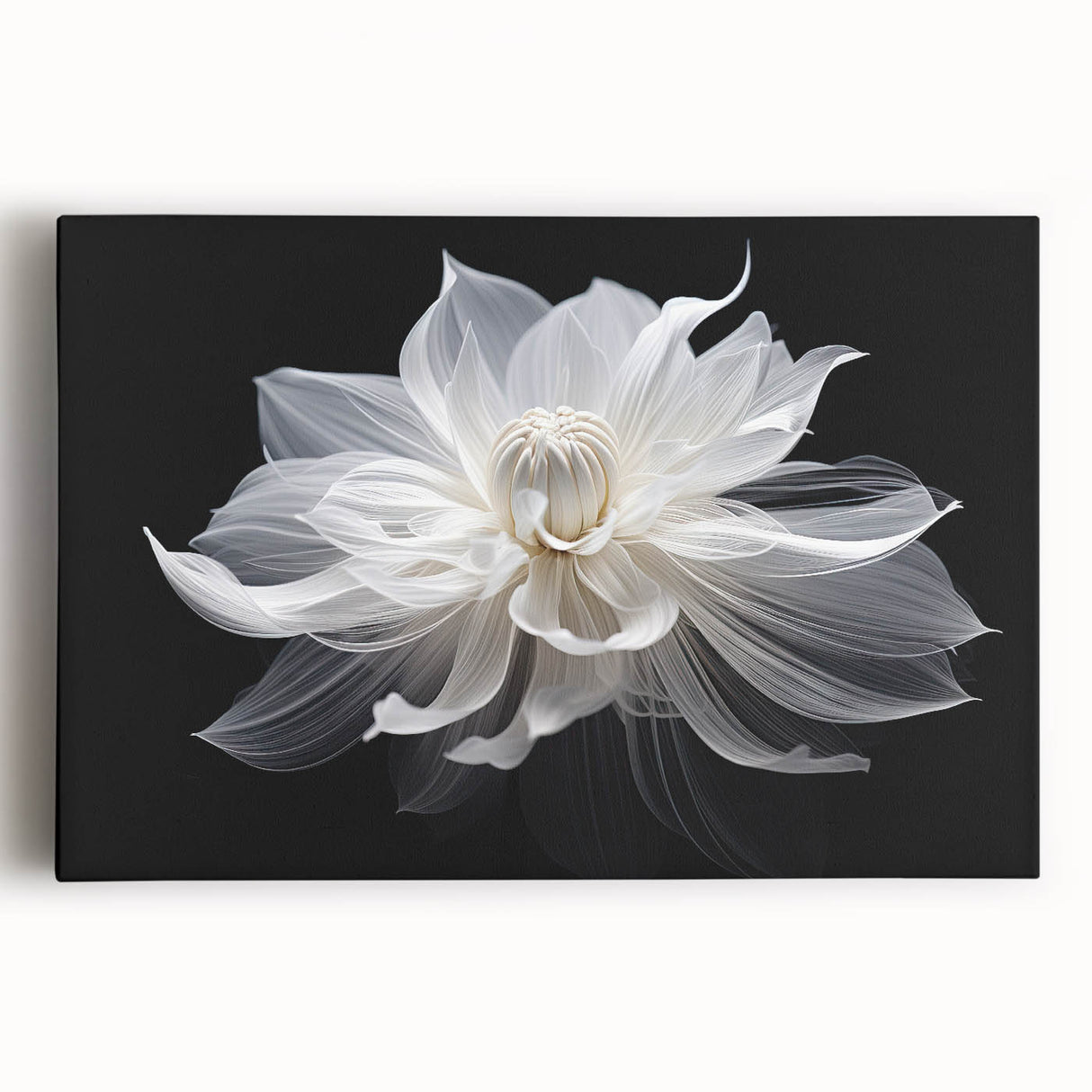Black and white close-up floral image on stretched canvas, suitable for kitchen wall art.