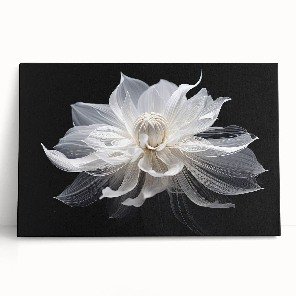 Black and white close-up floral photo on stretched canvas, ideal for kitchen wall art or bedroom ambiance.