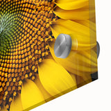 Large abstract floral design in vibrant orange and red tones on acrylic glass, ideal for dining room art.