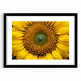 Abstract art print featuring vibrant, textured florals in a black frame, ideal for extra large living room wall art.
