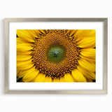 Textured abstract art print featuring soft pink and white florals on a silver framed canvas, suitable for bedroom decor.