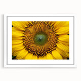 Abstract art print of multicolored florals on a white framed canvas, suitable for dining room or bedroom decor.