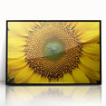 Large abstract wall art featuring vibrant floral designs in a black acrylic frame, ideal for modern art wall decor.