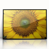 Large abstract wall art featuring vibrant floral designs in a black acrylic frame, ideal for modern art wall decor.