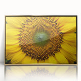 Large art print of a close-up floral design in vibrant colors on a gold-framed acrylic, ideal for modern nursery decor.