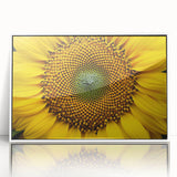 Art deco poster featuring a close-up floral design in pastel shades on white acrylic, ideal for nursery wall art.