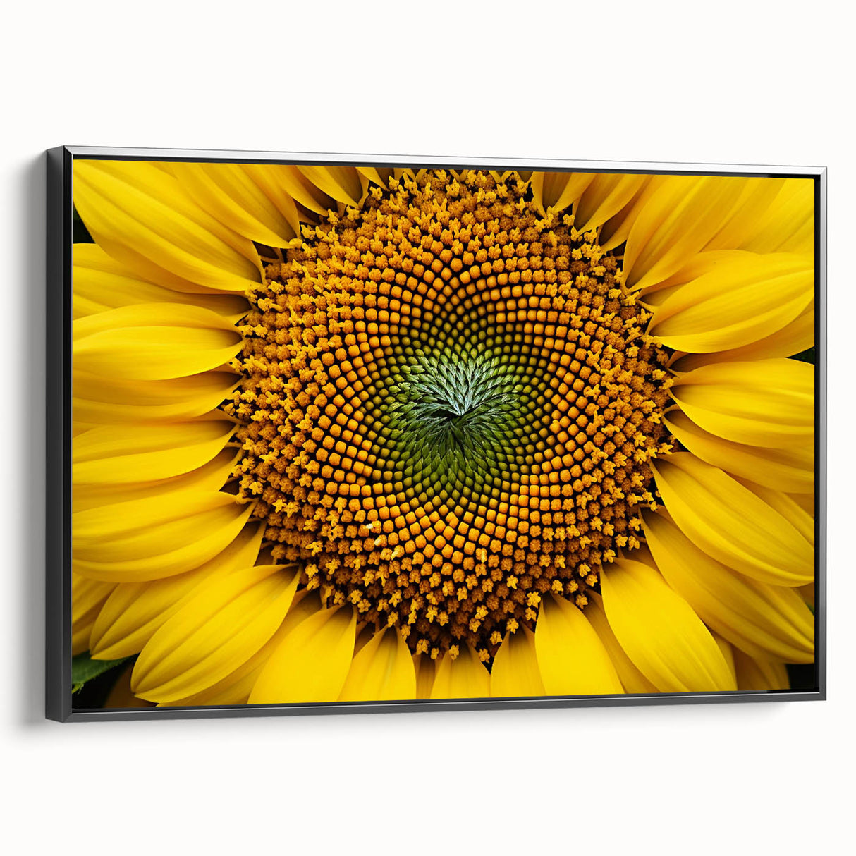 Black and white framed canvas depicting a floral landscape, ideal for bedroom wall decor.