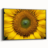 Black and white framed canvas depicting a floral landscape, ideal for bedroom wall decor.