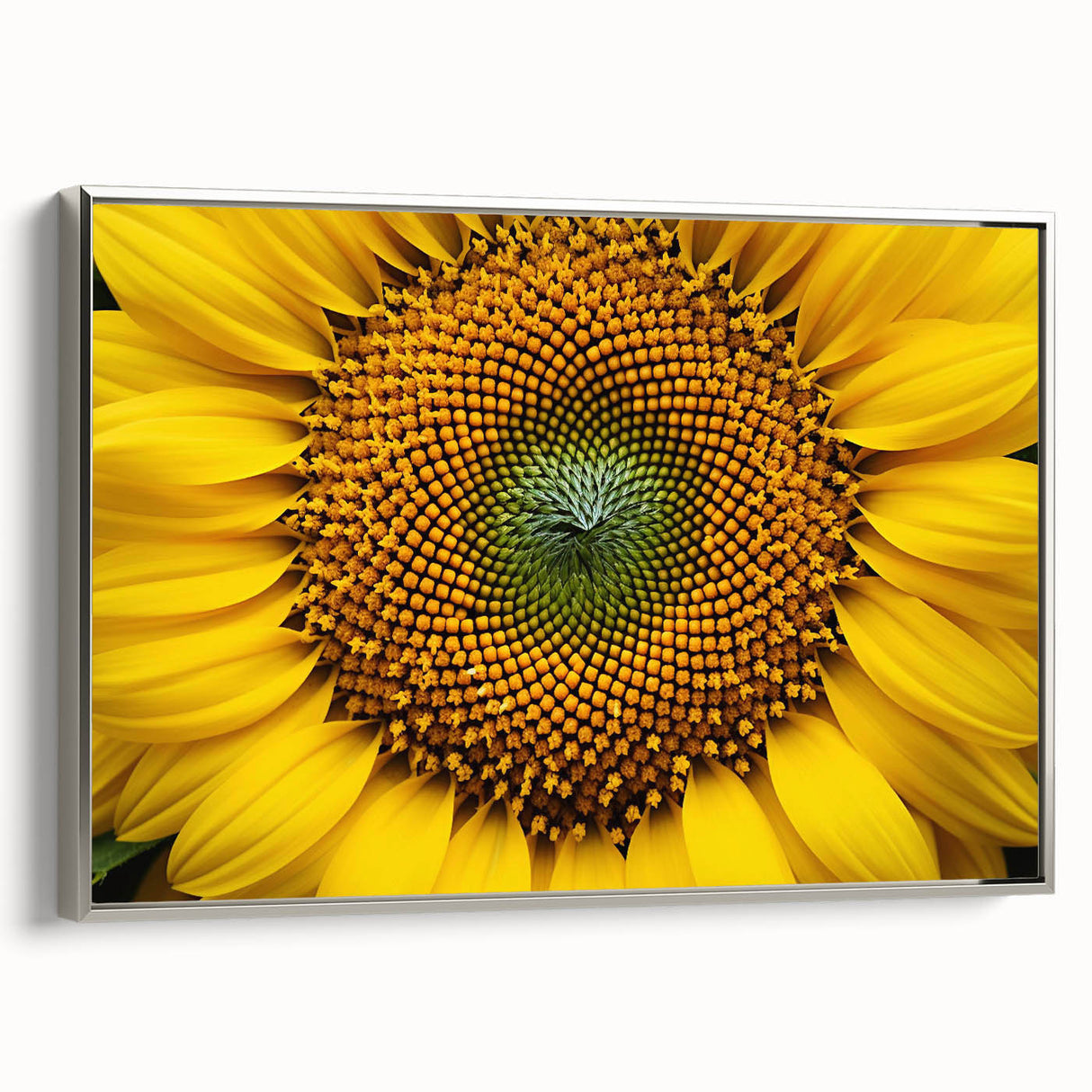 Framed canvas featuring a vintage landscape art painting with colorful flora against a black background.