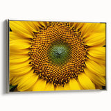 Framed canvas featuring a vintage landscape art painting with colorful flora against a black background.