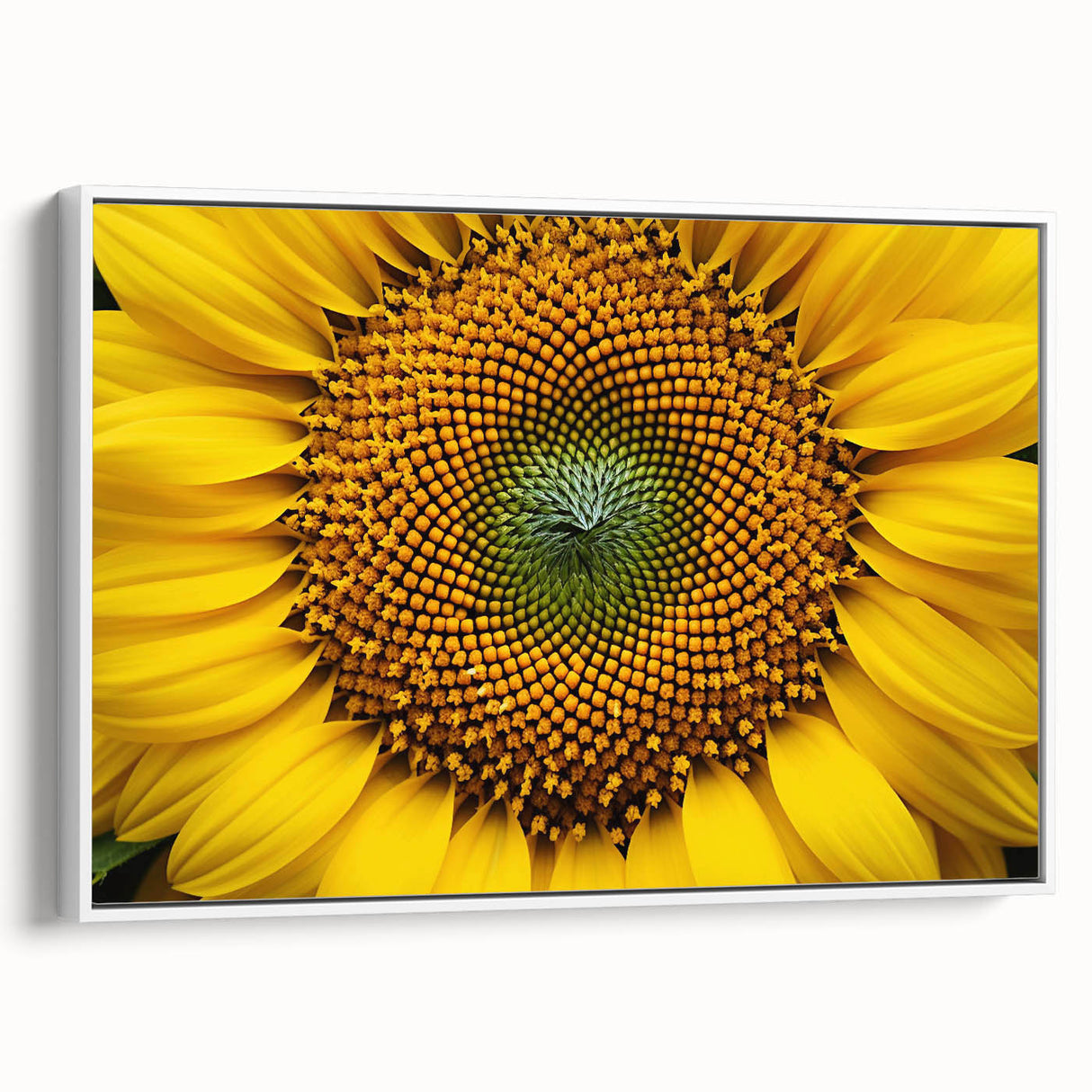 Extra large vintage poster art of colorful florals on black background, framed canvas, ideal for living room decor.