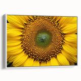 Extra large vintage poster art of colorful florals on black background, framed canvas, ideal for living room decor.