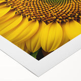 Art deco poster featuring a close-up floral design in pastel shades on rolled canvas, ideal for dining room wall art.